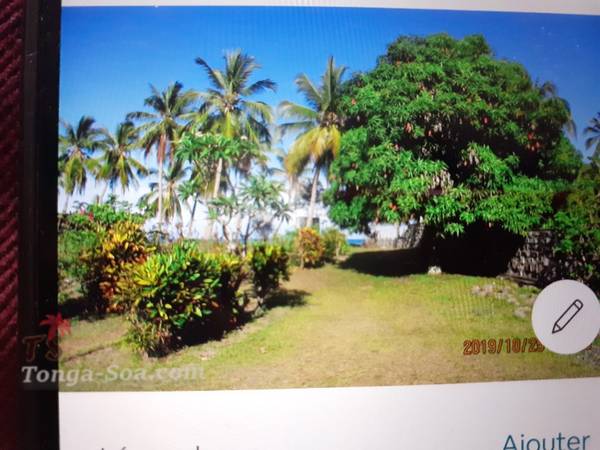 photo 5 de l annonce