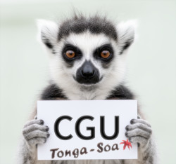CGU Tonga-Soa Tonga-Soa