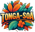 Bienvenue = Tonga-Soa