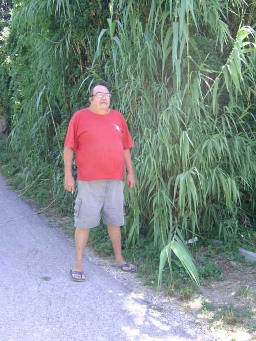 Photo Philippe_196 #1